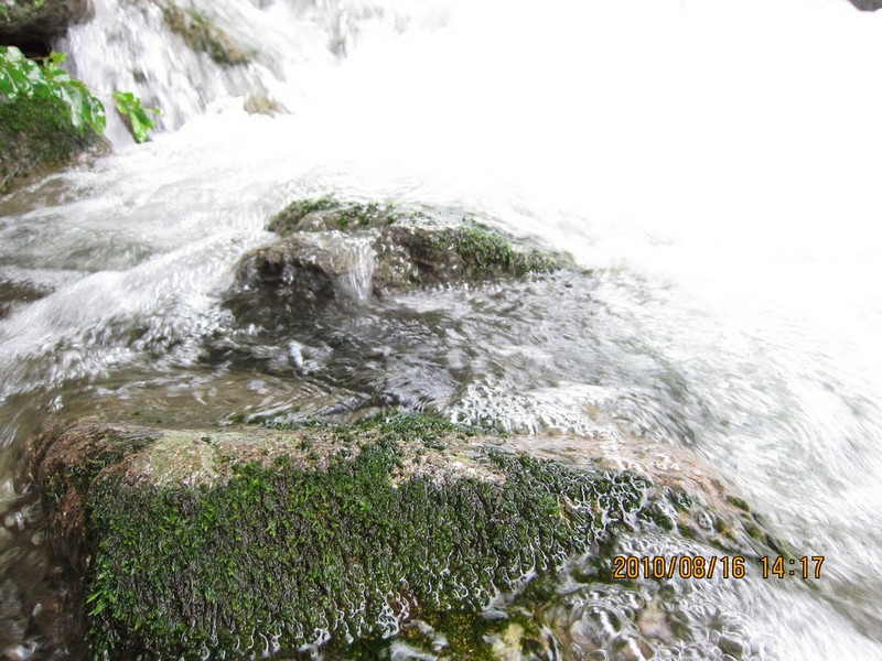 2010-08-16-194.jpg