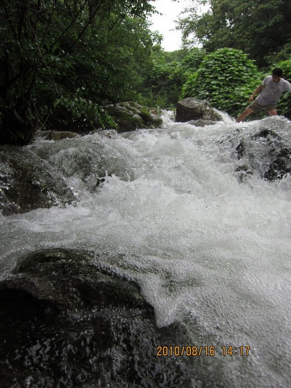 2010-08-16-195.jpg