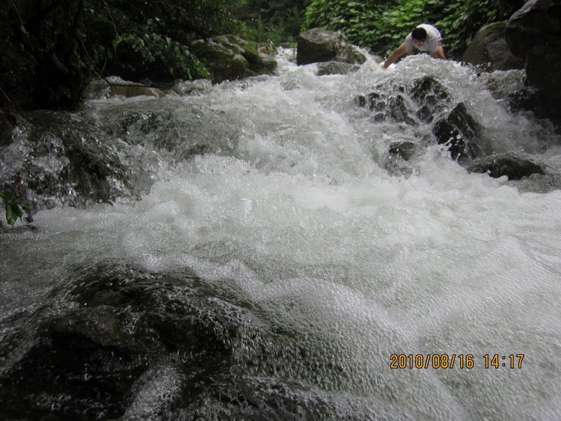 2010-08-16-196.jpg