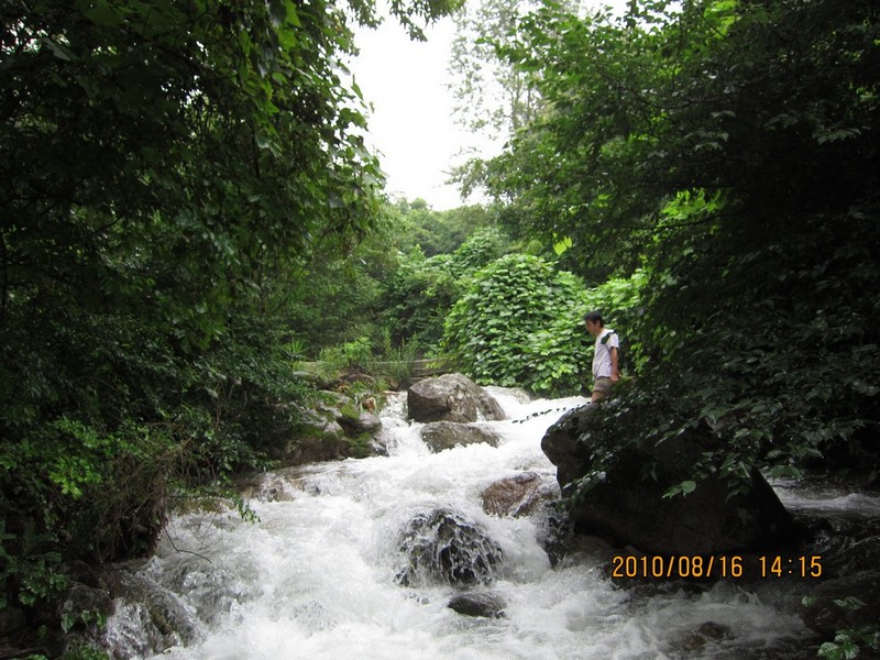 2010-08-16-190.jpg