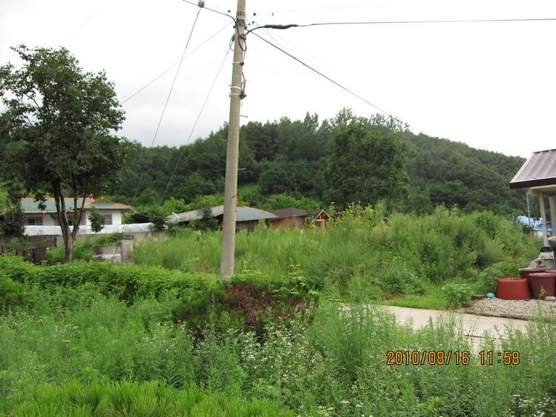 2010-08-16-163.jpg