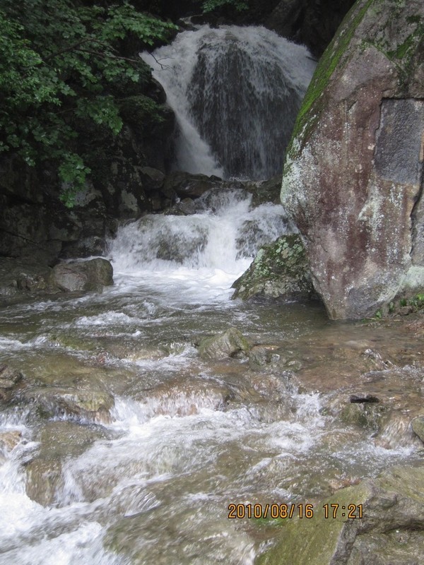 2010-08-16-210.jpg
