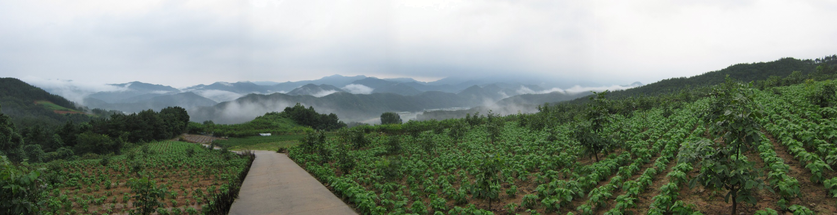 2010-08-14-243.jpg