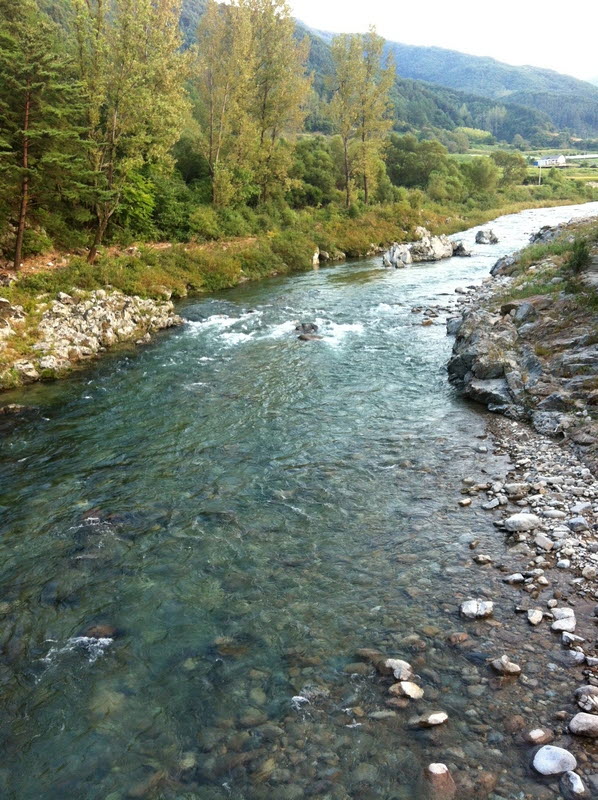 IMG_2266.jpg