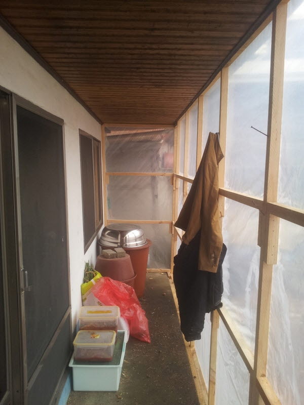 2012-12-17-010.jpg