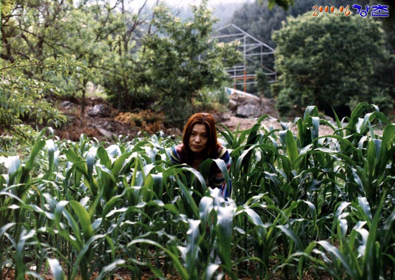090m.jpg