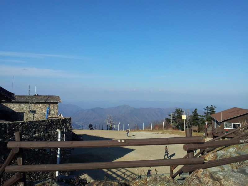 2012-10-31-007.jpg