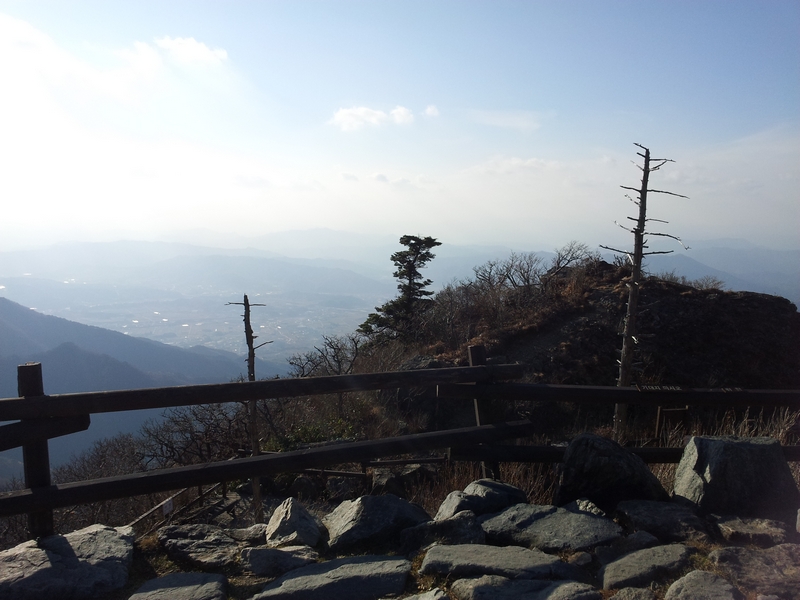 2012-10-31-004.jpg