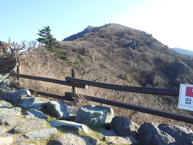 2012-10-31-006.jpg