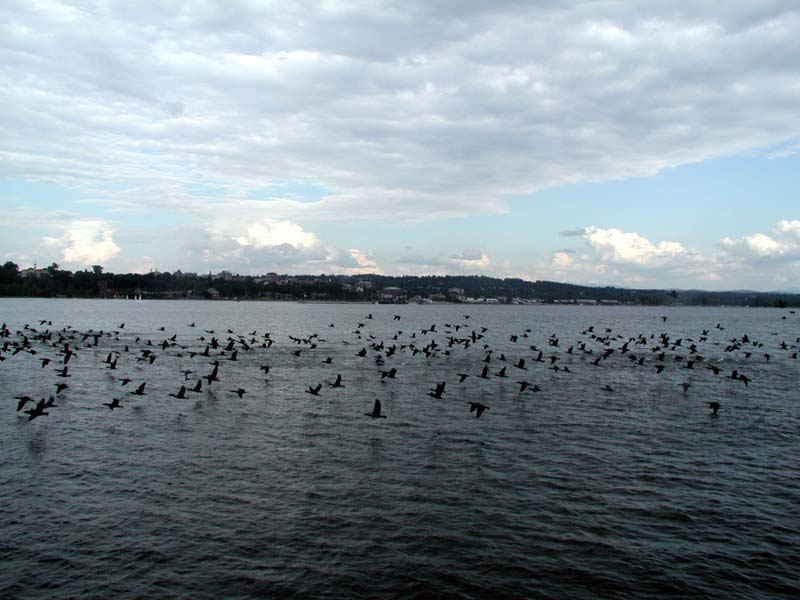 010717_39m.jpg