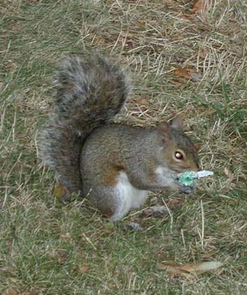 010716_15m.jpg