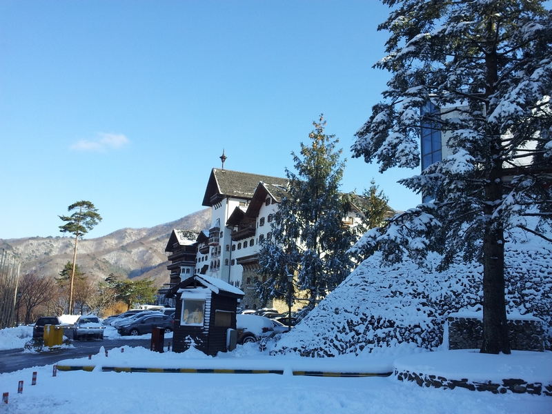 2012-12-06-042.jpg