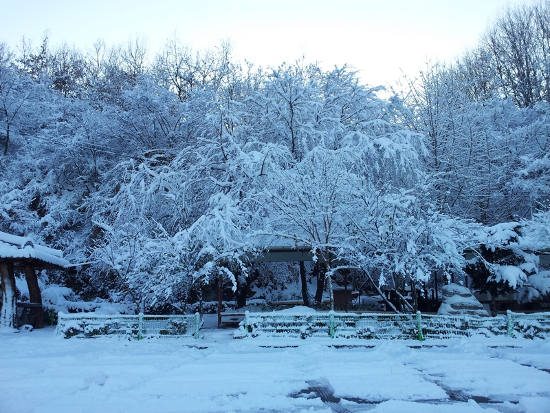 2012-12-06-043.jpg