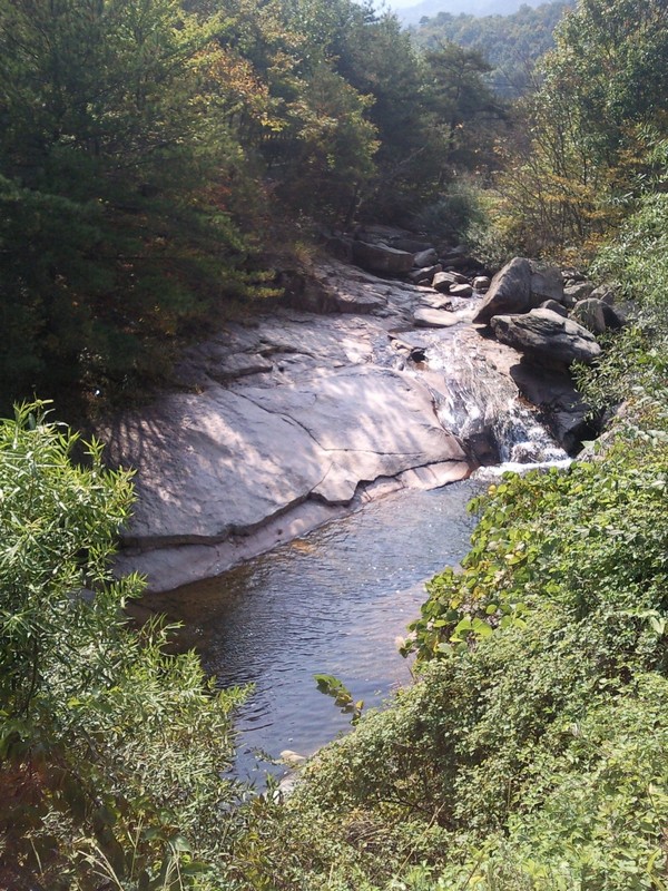 2010101812594.jpg