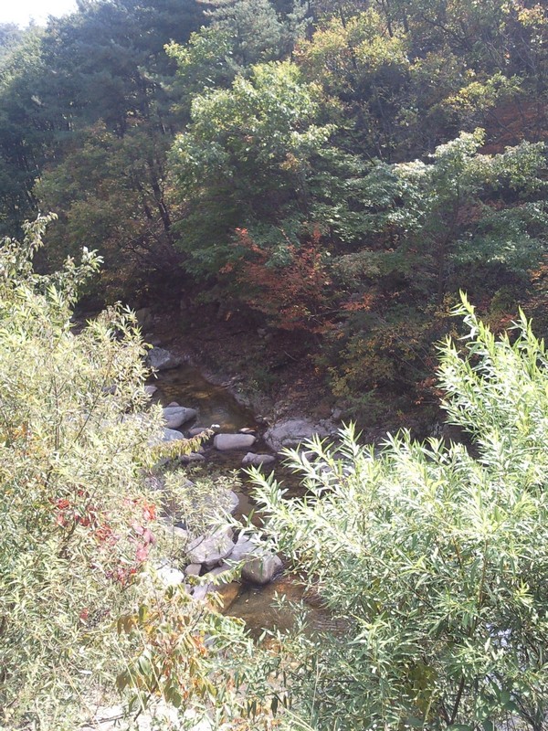 2010101812595.jpg