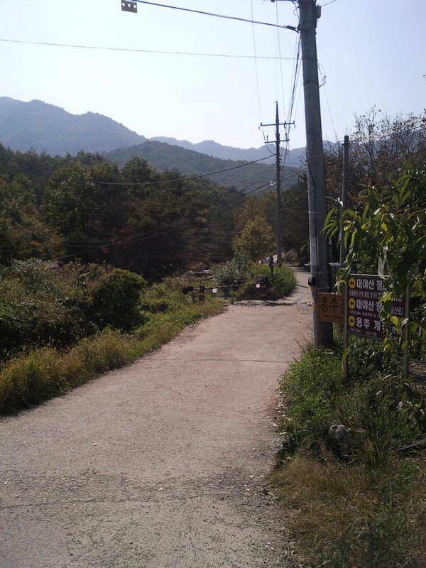 2010101812094.jpg