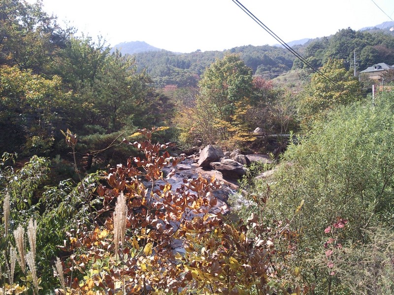 2010101812071.jpg