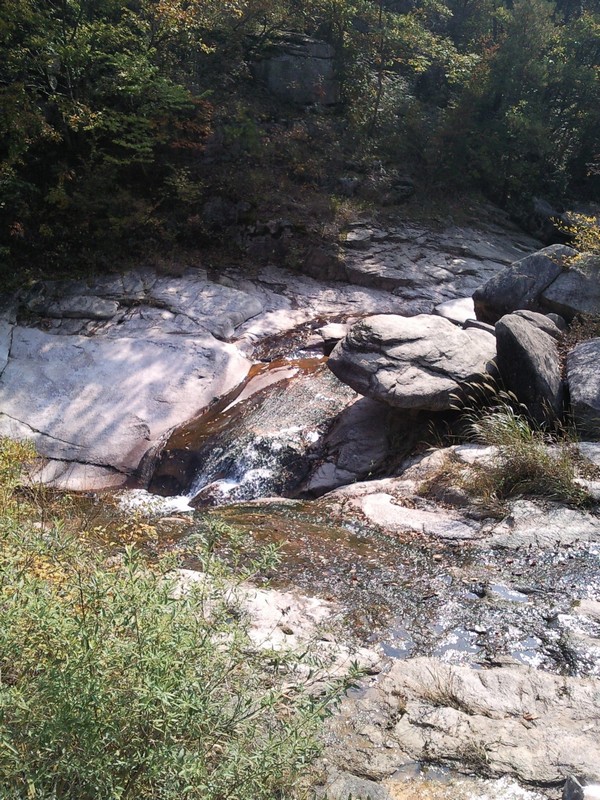 2010101812572.jpg