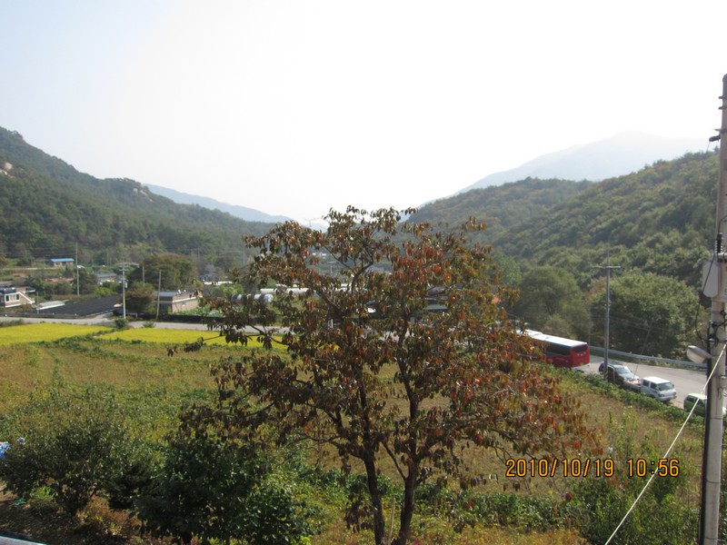 2010101910564.jpg