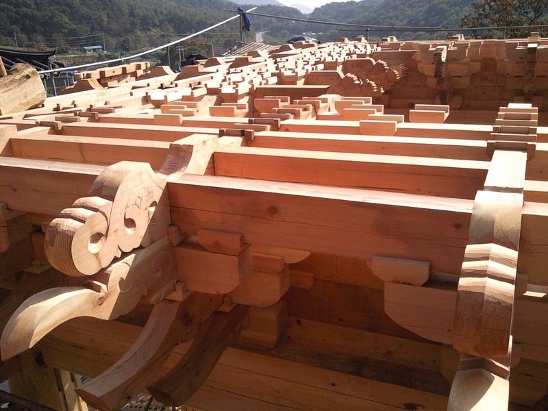 2010101810322.jpg