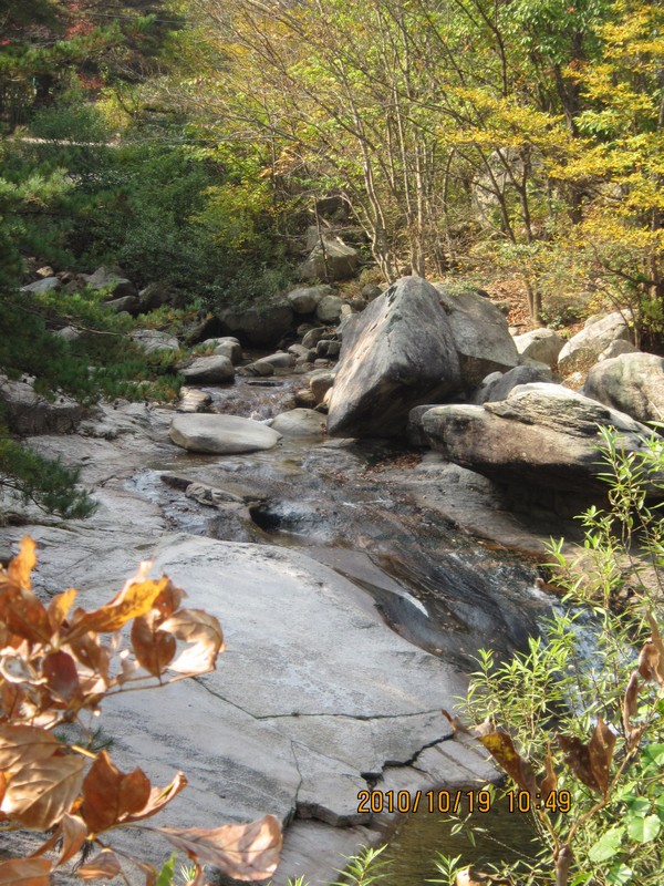 2010101910492.jpg
