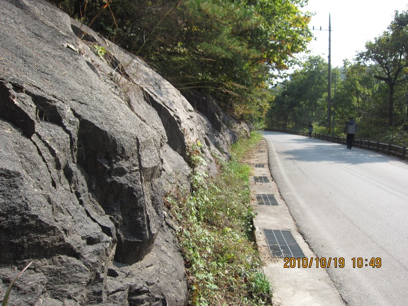 2010101910494.jpg