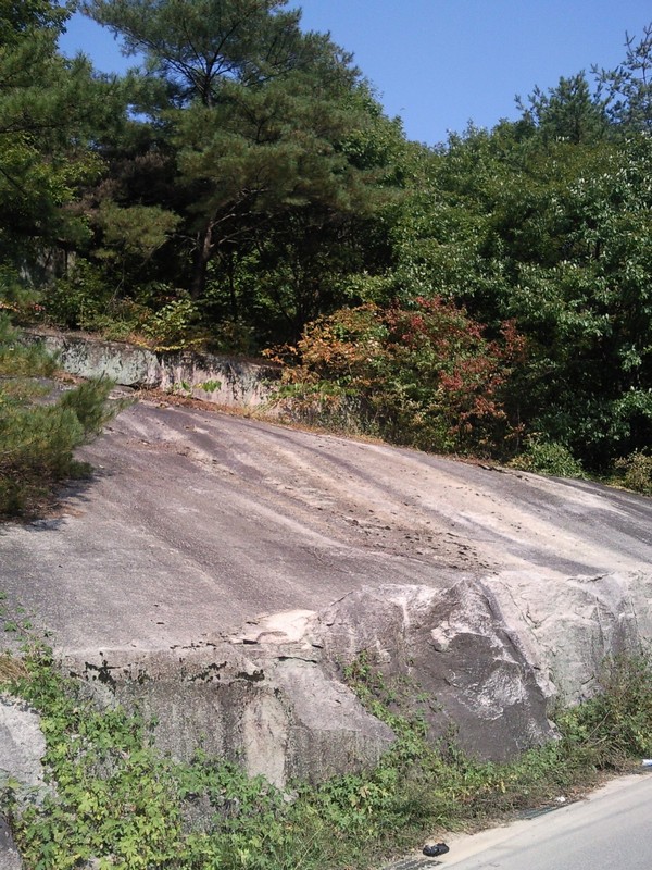 2010101812585.jpg