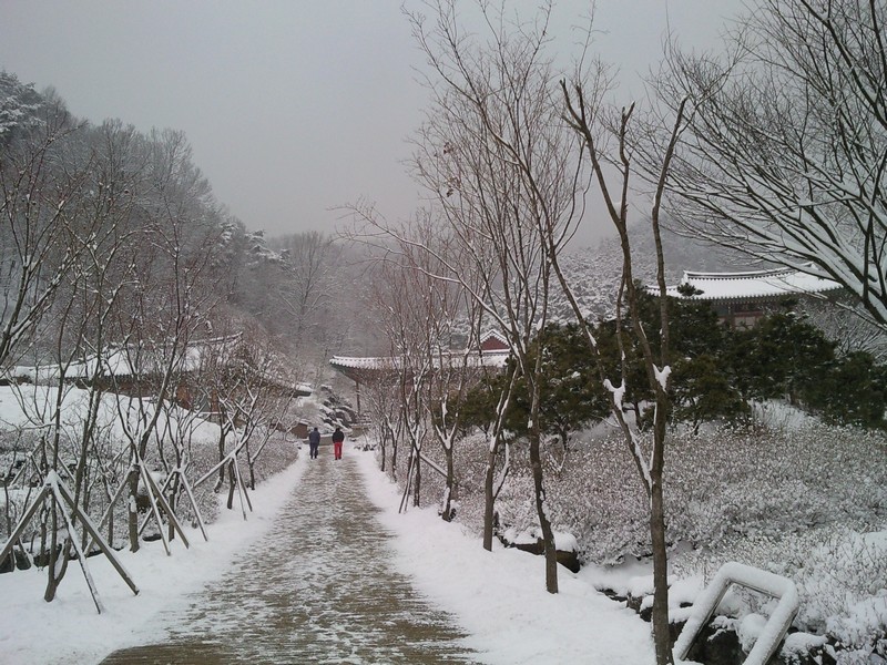 2010-03-17-016.jpg