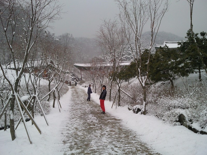 2010-03-17-001.jpg