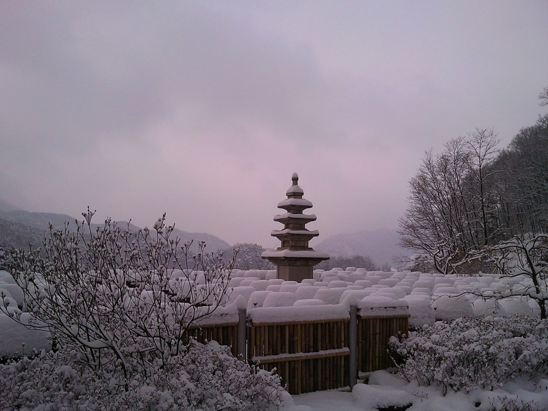 2010-03-18-004.jpg