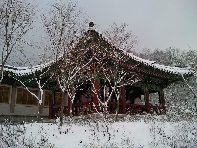 2010-03-18-007.jpg