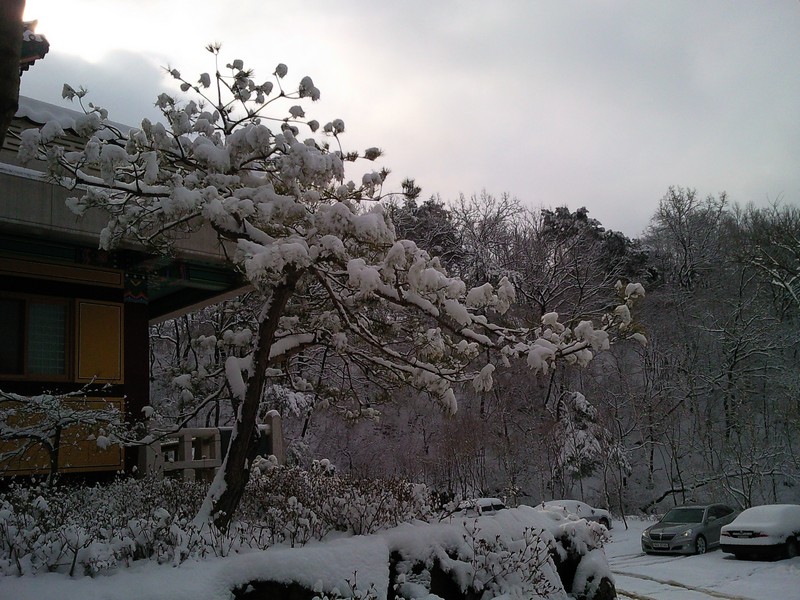 2010-03-18-010.jpg