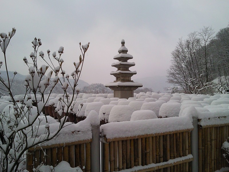 2010-03-18-017.jpg