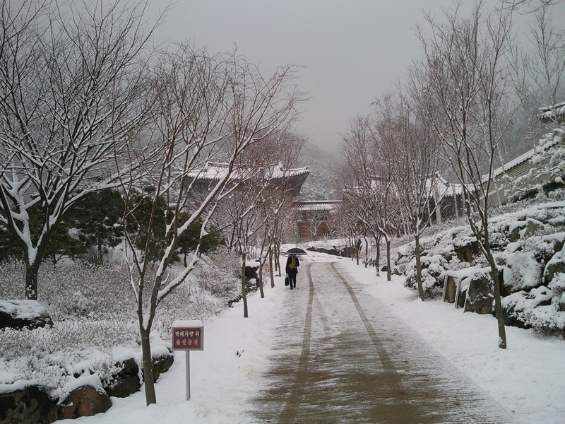 2010-03-17-015.jpg