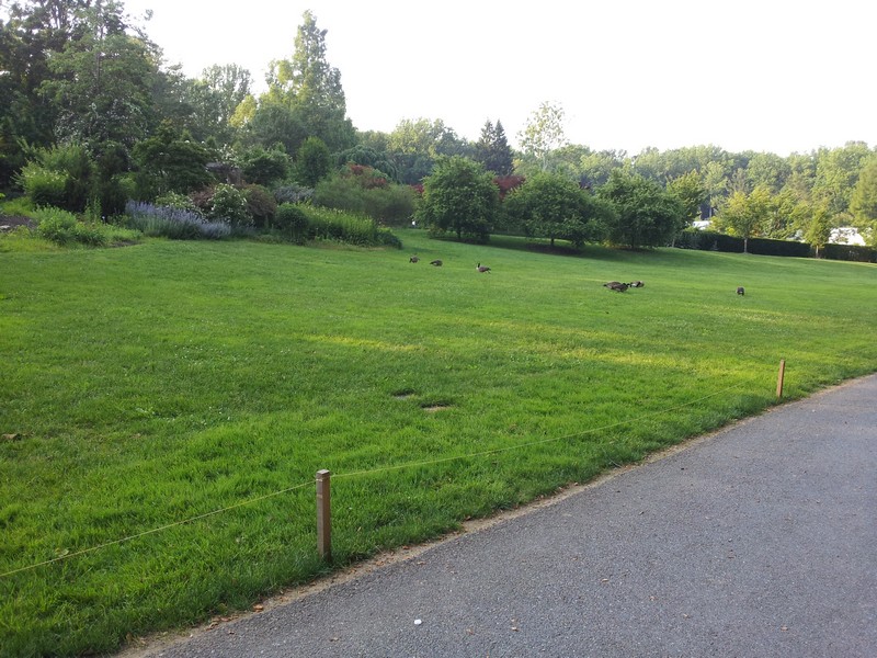 2011-05-30 18.43.47.jpg