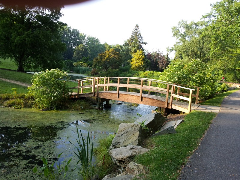 2011-05-30 18.38.40.jpg