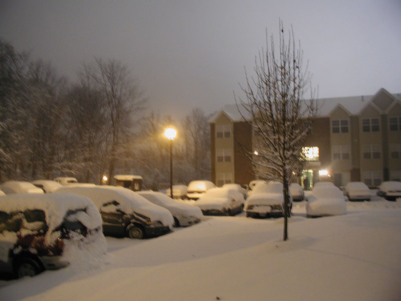 031205_08.jpg