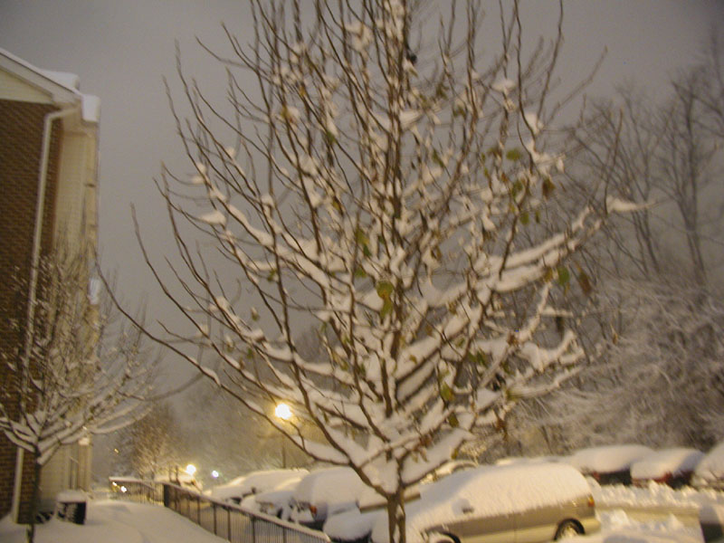 031205_09.jpg