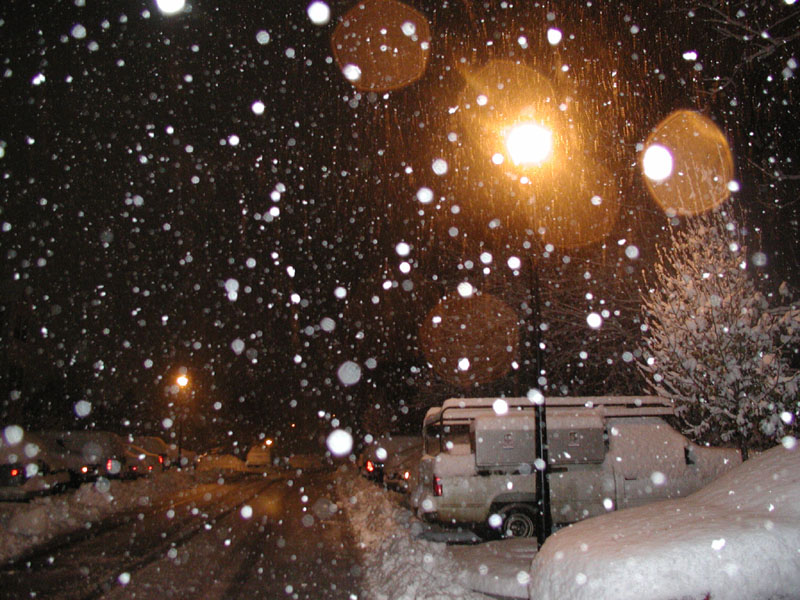 031205_10.jpg