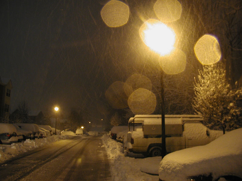 031205_11.jpg