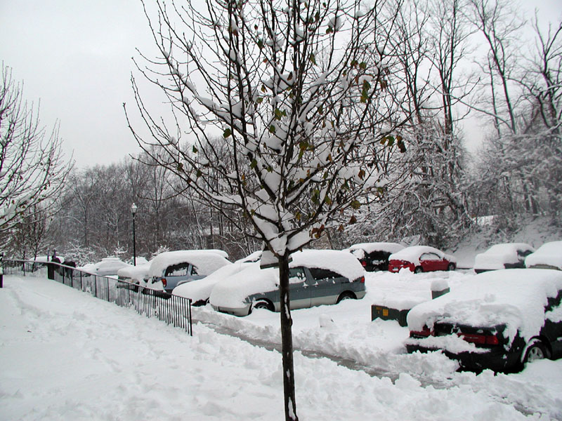 031205_20.jpg
