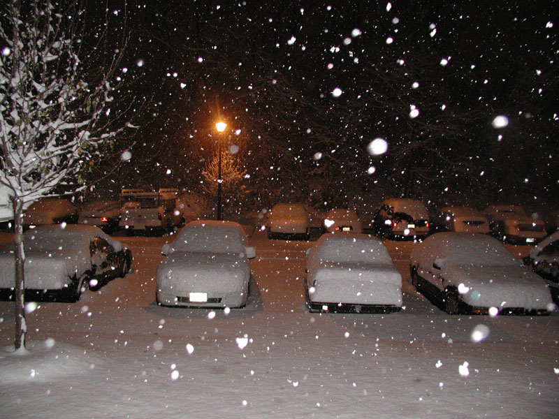 031205_01.jpg