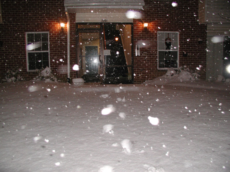 031205_02.jpg