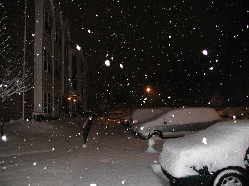 031205_03.jpg