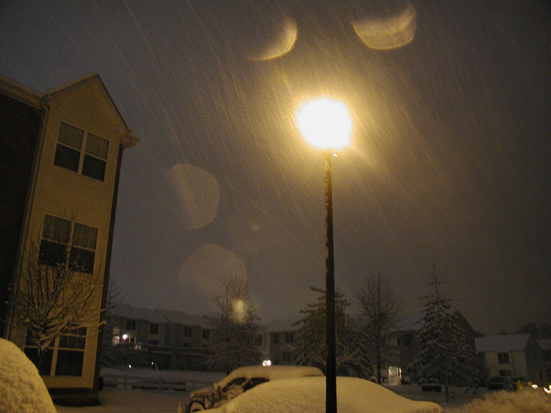 031205_13.jpg