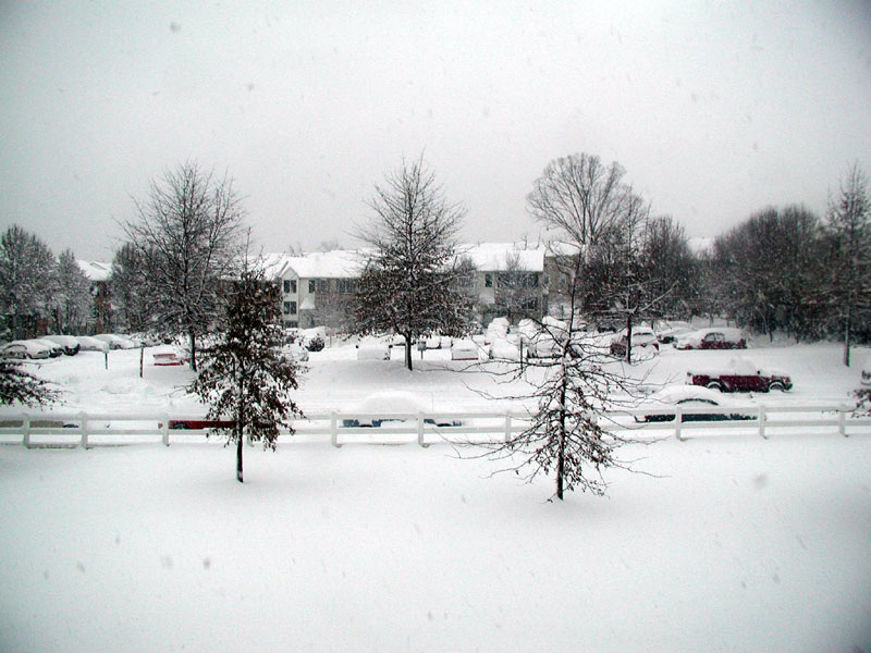 031205_16.jpg