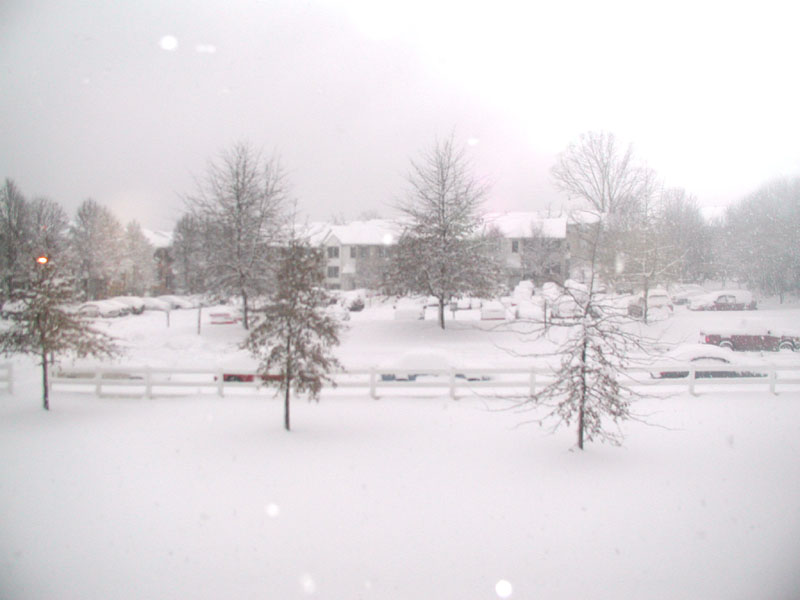 031205_17.jpg