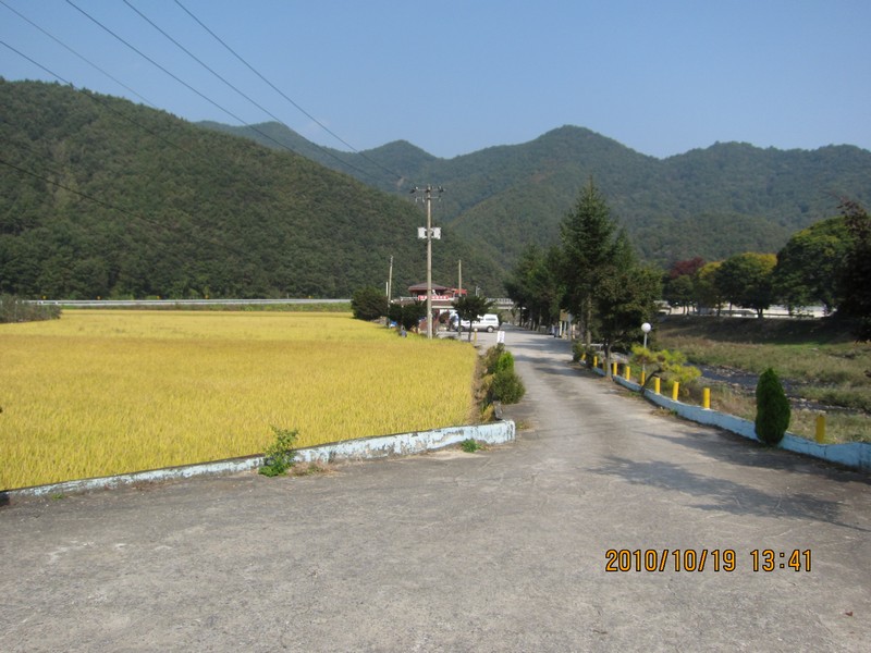 2010101913418.jpg