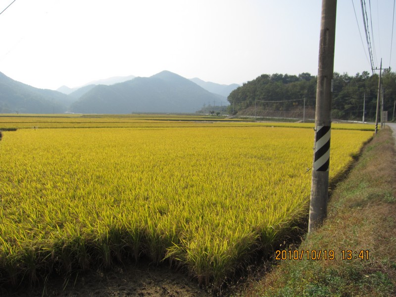 2010101913411.jpg