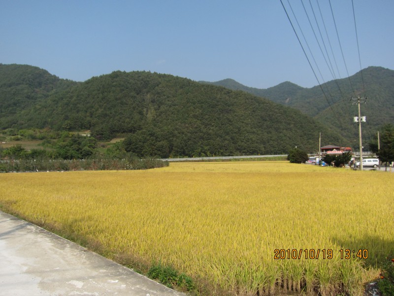 2010101913405.jpg